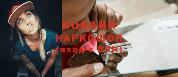 мдпв Вяземский