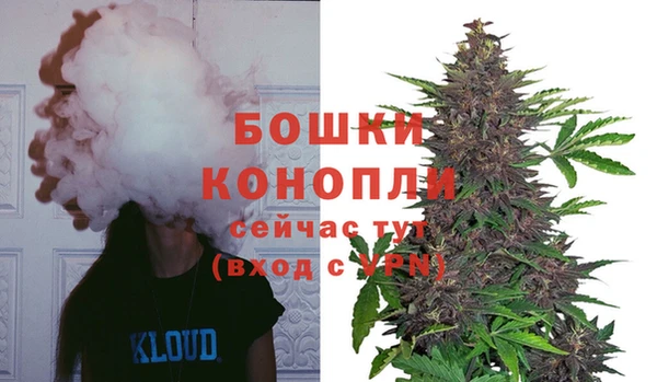 PSILOCYBIN Вязники