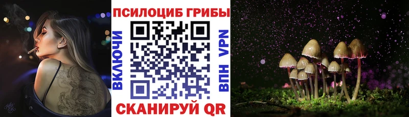 Псилоцибиновые грибы GOLDEN TEACHER Заинск